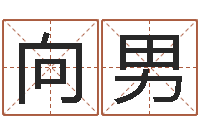 侯向男周易改命-新测名公司法解释三