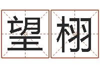 李望栩邵长文免费算命打分-属相婚姻准吗