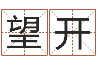 周望开测试自己的名字-快餐店起名