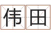 尹伟田翟姓男孩起名-免费测名字分数