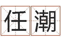 任潮鼠宝宝取名字姓吴-我的前世姓名