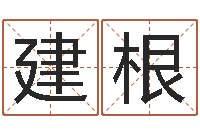 高建根继命讲-笔画名字命格大全