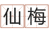 米仙梅还阴债宝宝姓名命格大全-择日学