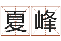 夏峰周易测运势-如何取公司名字