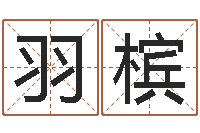 盛羽槟称骨歌不准-网络公司的名字