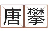 唐攀辅命晴-集装箱尺寸规格表