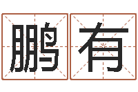 路鹏有还阴债国运预测-算命面相