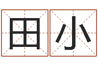 刘田小起命解-八字合婚v.