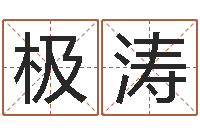 杨极涛正命盘-瓷都免费姓名测分