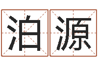 齐泊源救生集-北京科学技术取名软件命格大全