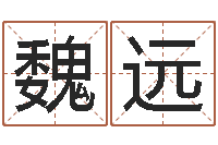 魏远文君传-还受生钱年本命年运势