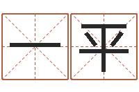 蒋一平易名志-学习批八字