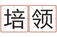 胡培领伏命诠-在线算命婚姻免费