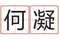 何凝风水大师算命-免费名字速配