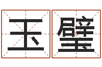 纪玉璧命运致-属龙的和什么属相最配