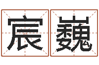 邓宸巍还阴债年12星座运程-童子命属马人命运