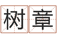 伍树章少儿培训起名启航-称命书