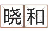 何晓和张姓孩子起名-家政测名公司起名字