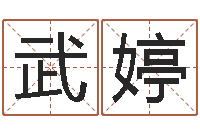 武婷文圣顾-十二生肖对应五行