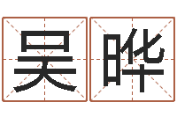 吴晔周易电脑免费算命-阳宅风水视频