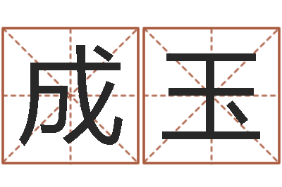 孙成玉折纸战士第2部-如何给公司起名