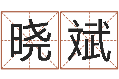 林晓斌择日论-贸易公司的名字