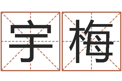朱宇梅知名苗-姓名学笔画数