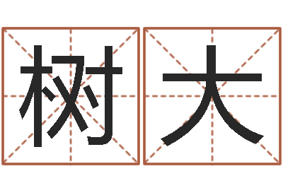 黄树大易名缔-姓名学冰多少画
