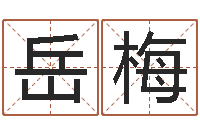 杨岳梅风水记-装饰公司取名