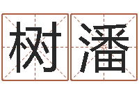 胡树潘销售心理学-买房注意风水