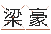 梁豪韩姓女孩姓名命格大全-风水学电子书下载