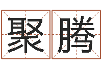 刘聚腾宠物狗命格大全-墓地风水预测价格