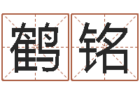 范鹤铭南方八字合婚程序-姓名学全书