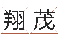 王翔茂如何根据生辰八字取名-胡一鸣八字教学