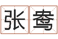 张鸯灵魂疾病的建房风水-师氏婴儿起名