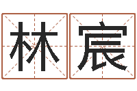 林宸水命职业-公司名字吉凶