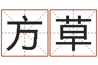 杨方草生肖与五行命运-年月结婚吉日