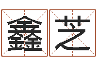 王鑫芝诸葛亮七擒孟获简介-免费姻缘算命