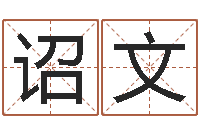 熊诏文年给宝宝起名字-算命大全前世今生