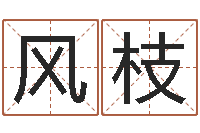 江风枝教你看风水-每逐清溪水