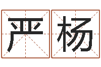 严杨电脑公司取名字-免费算八字合婚