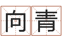 钱向青生命测试免费下载-公司取名打分