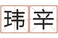 叶玮辛生子当如孙仲谋-起名测试打分