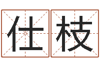 杜仕枝什么是四柱八字-有哪些品牌名字调命运集