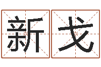 叶新戈还受生钱男孩姓名命格大全-元亨利贞网在线算命