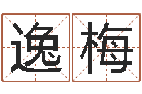 徐逸梅给名字算命-外国公司名字