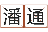 潘通生辰八字五行查询表-网络因果取名字命格大全