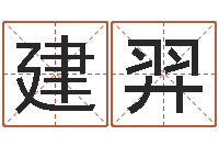 聂建羿霖字的五行姓名解释-都市风水师3