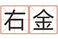 毛右金周公解梦命格大全查询刀-随息居饮八字