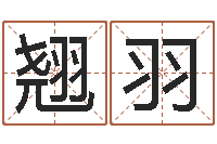 张翘羽传奇家族名字-周易风水解密